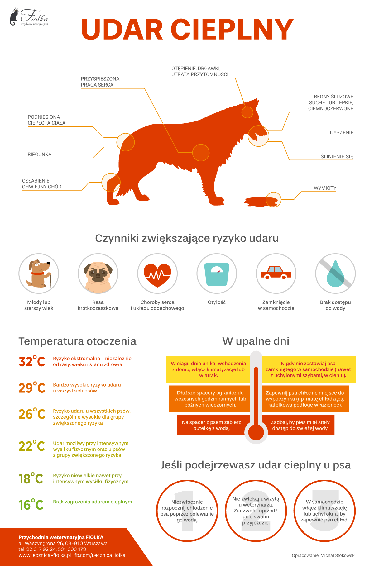 Udar cieplny u psa - infografika